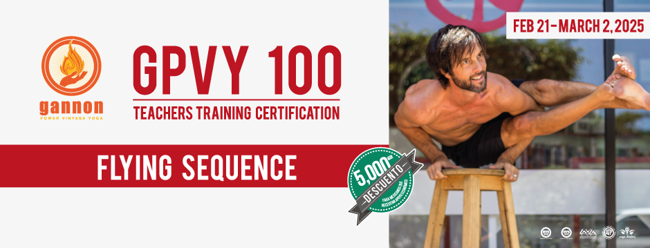 Gannon Power Vinyasa Yoga Teacher Training GPVY 100 – Flying  Sequence 2025