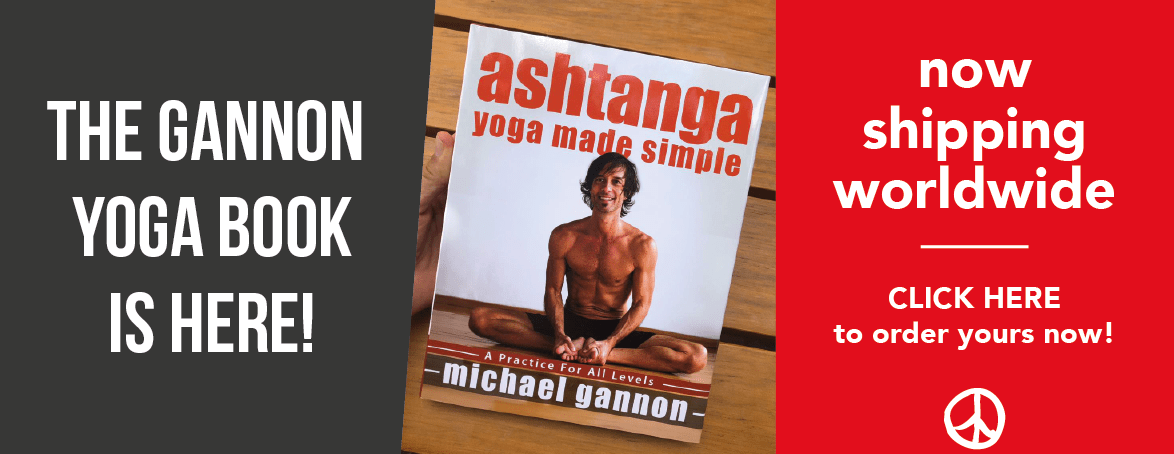 Gannon´s New Book!                    FREE BONUS: Full Vinyasa Video!